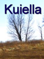 Kuiella Taldama: my journey - book cover